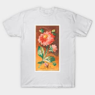 Dahlia (Dahlia Coccinea) T-Shirt